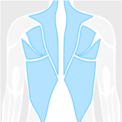 back figure highlighted in blue