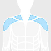 shoulders figure highlighted in blue