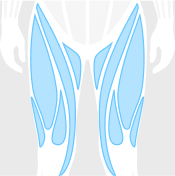 upper legs figure highlighted in blue