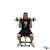 Dumbbell Seated Arnold Press exercise demonstration