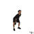 Kettlebell One-Arm Swing exercise demonstration