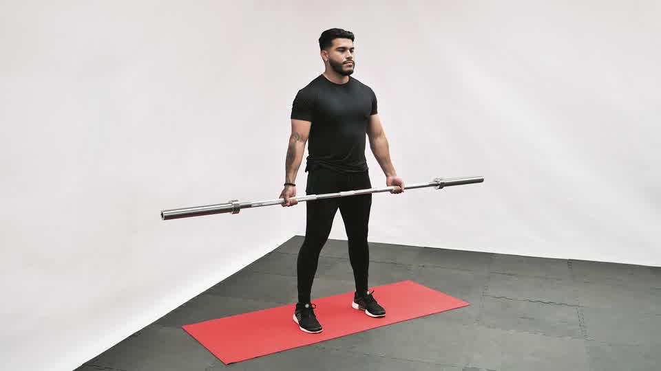 Barbell Bicep Curl (Wide Grip) exercise