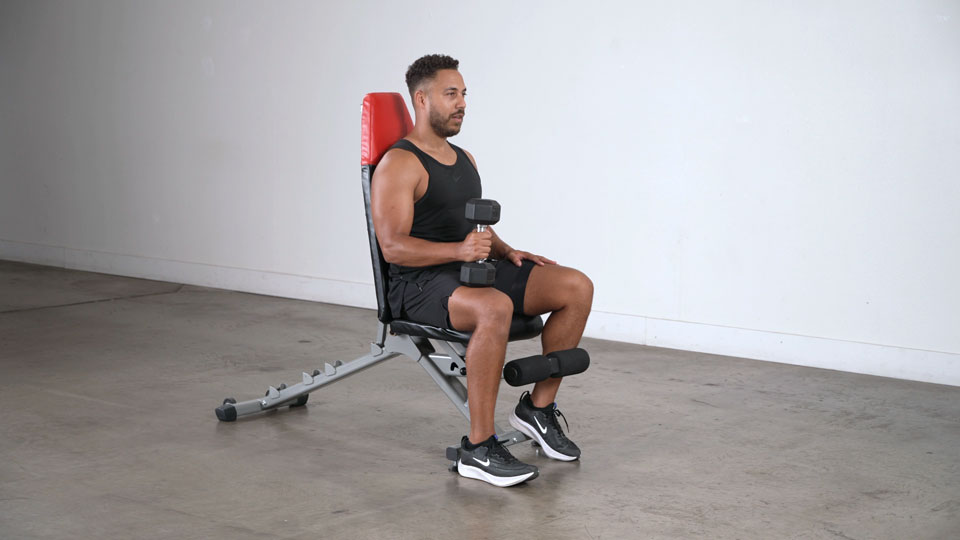 Dumbbell Seated Single-Leg Calf Raise exercise