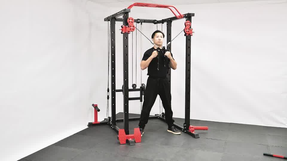 Dual Cable Triceps Extension