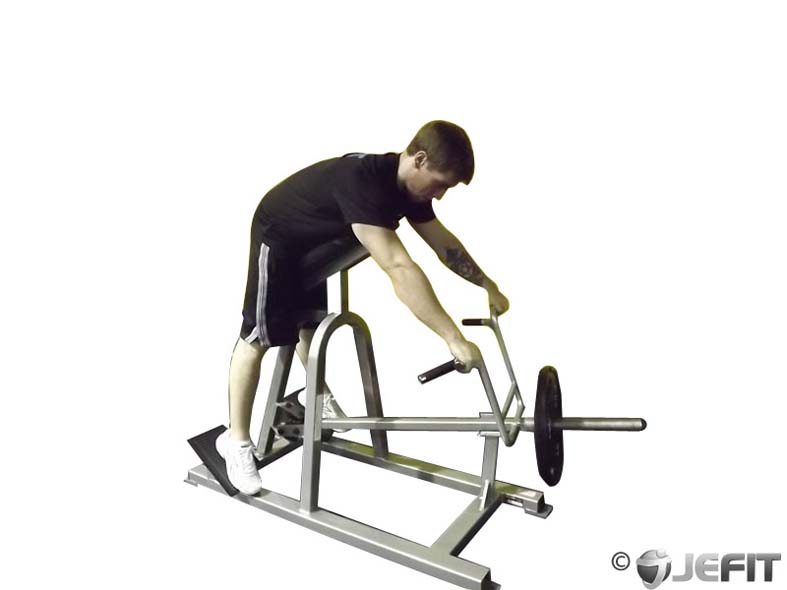 T Bar Prone Row