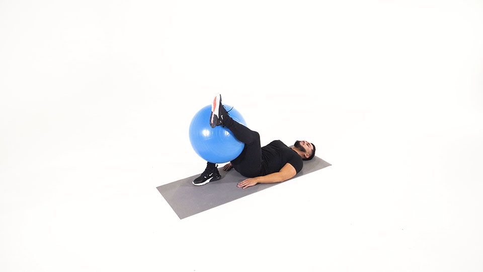 Stability Ball Hamstring Stretch 