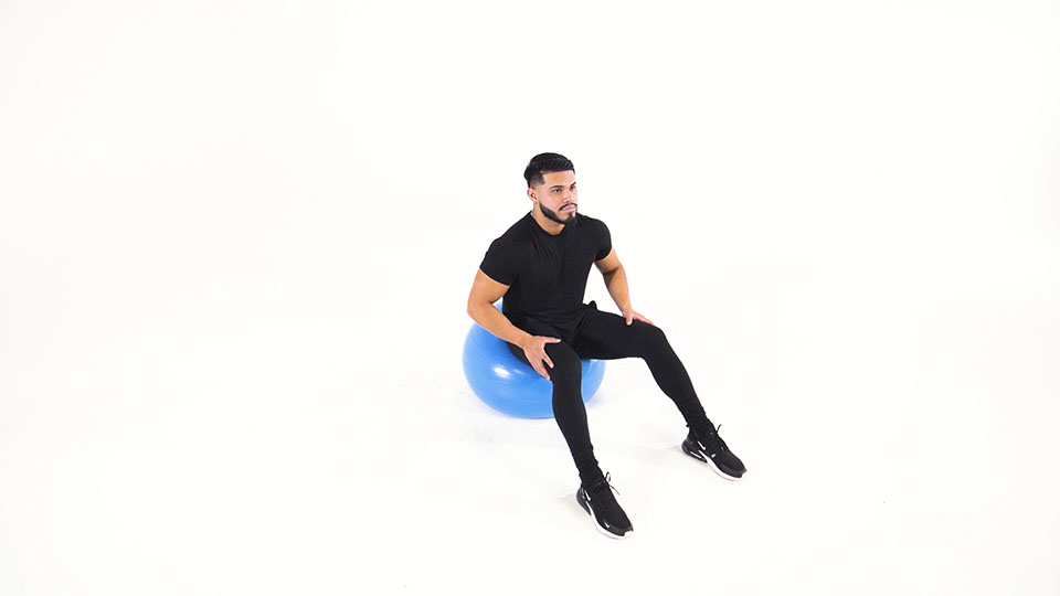 Stability Ball Hip Rotation