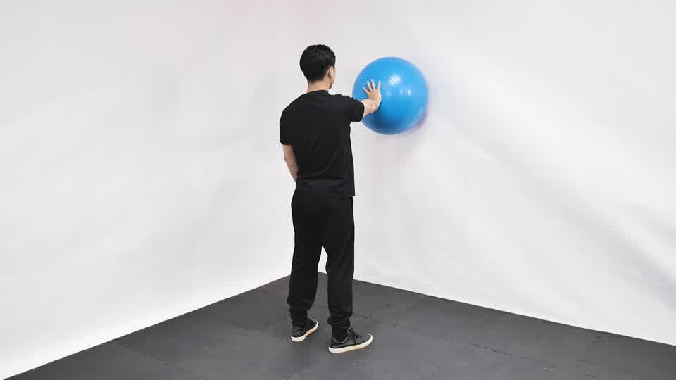 Stability Ball Wall Circles