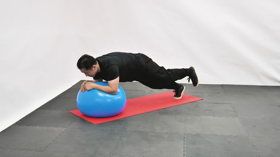 Stability Ball Plank with Hip Abduction exercise