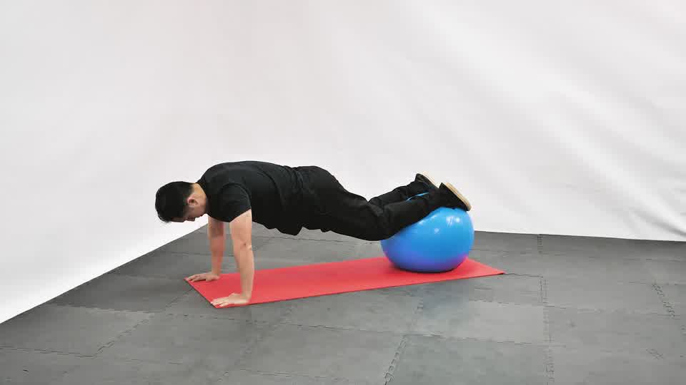 Stability Ball Pike Push-Up 