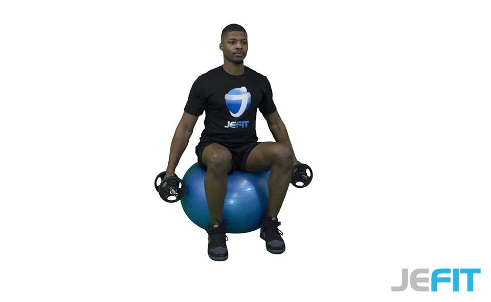 Dumbbell Hammer Curl on Stability Ball exercise