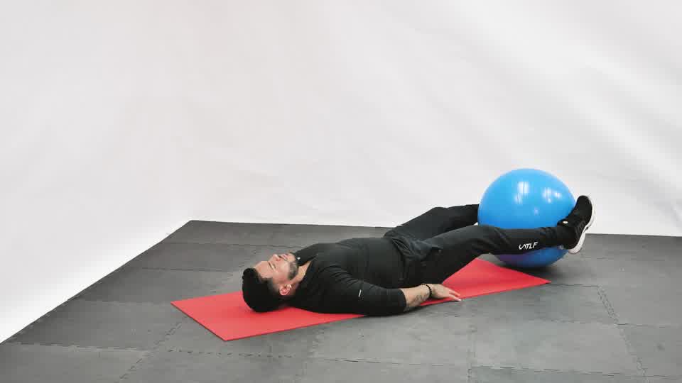 Stability Ball Hand and Foot Exchange exercise