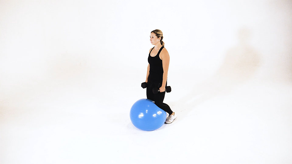 Dumbbell Kneeling Lateral Raise (Stability Ball) exercise