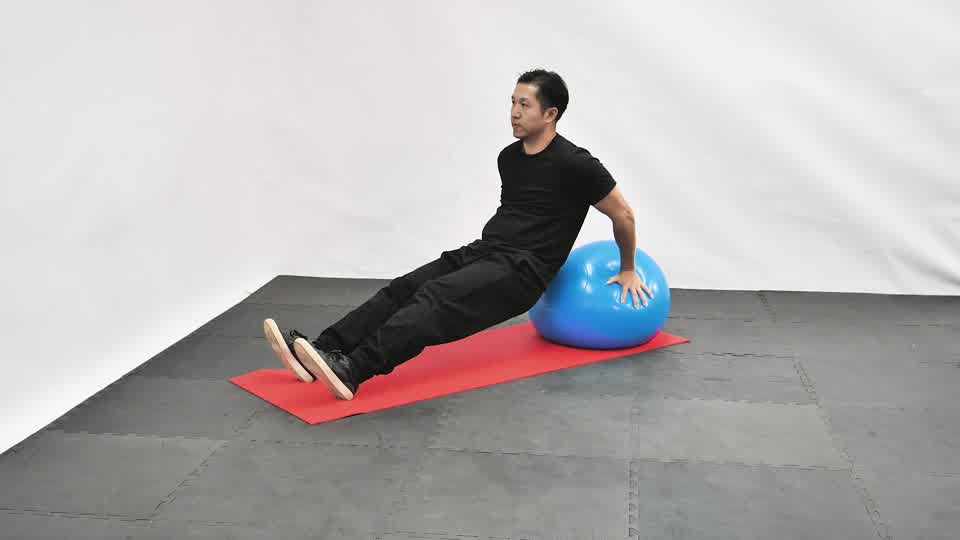 Stability Ball Dip exercise