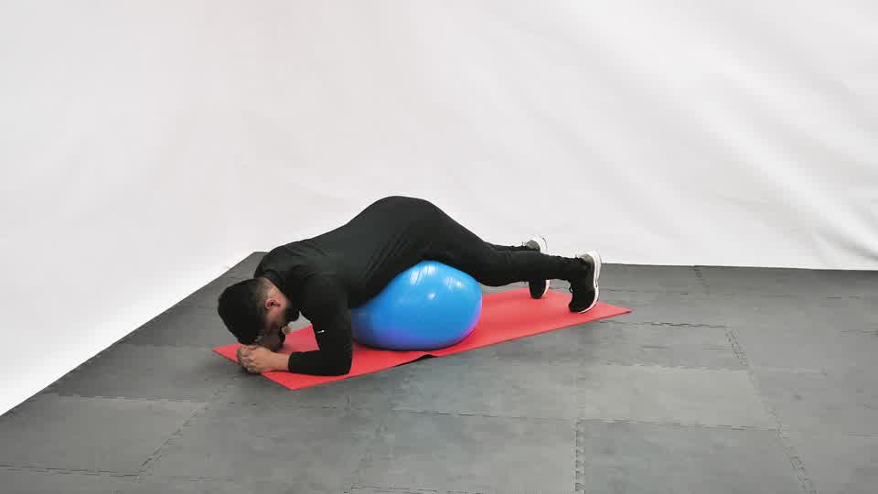 Stability Ball Balance