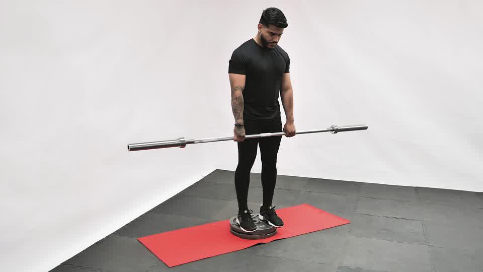 Barbell Romanian Deadlift From Deficit exercise