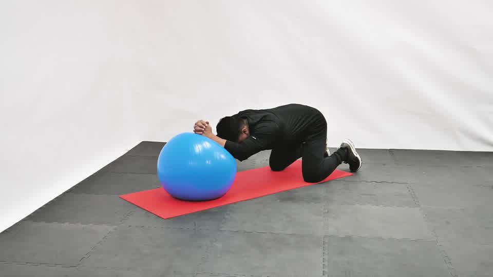 Stability Ball Plank