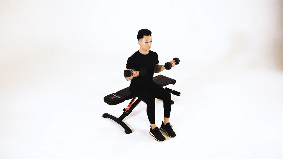 Dumbbell Seated Curl