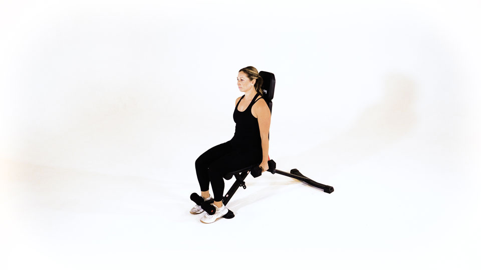 Dumbbell Seated Alternating Hammer Curl exercise