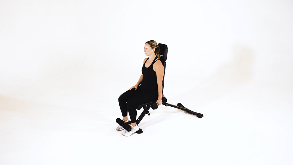 Dumbbell One-Arm Seated Hammer Curl exercise