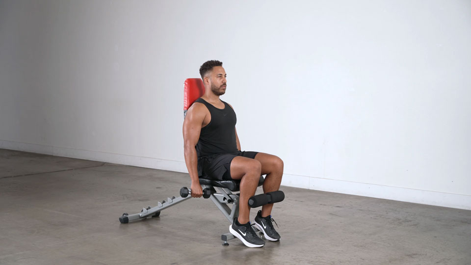 Dumbbell Seated Front Raise