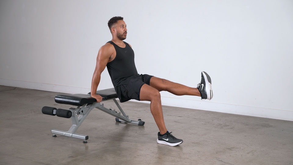 Single-Leg Bench Dip exercise