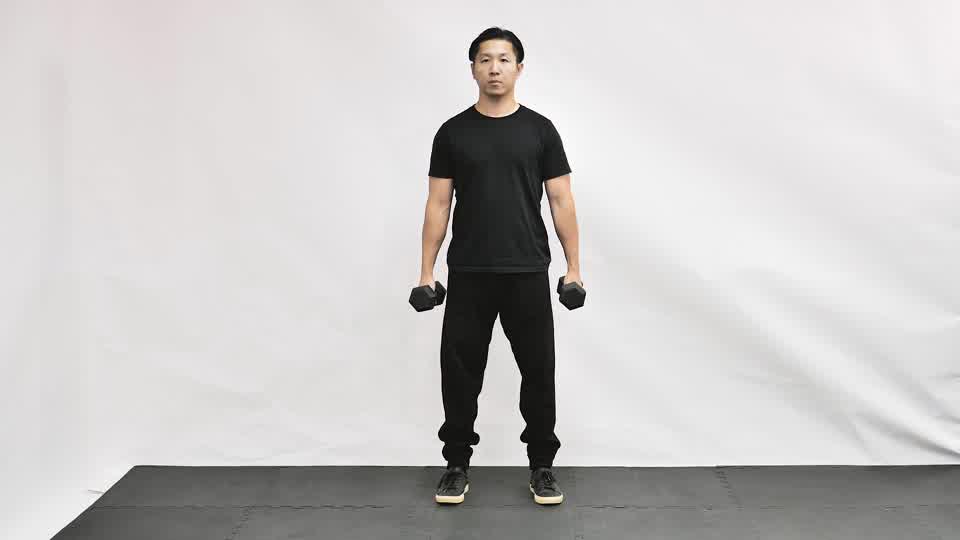 Dumbbell Wall Squat