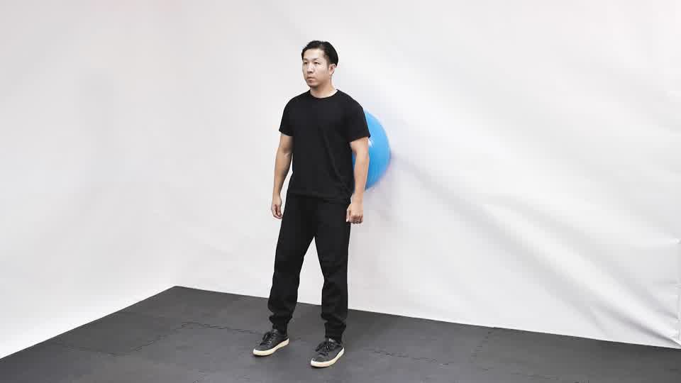 Stability Ball Wall Squat exercise