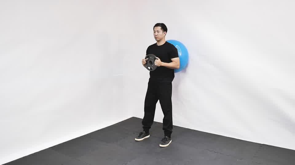 Stability Ball Weighted Wall Squat exercise