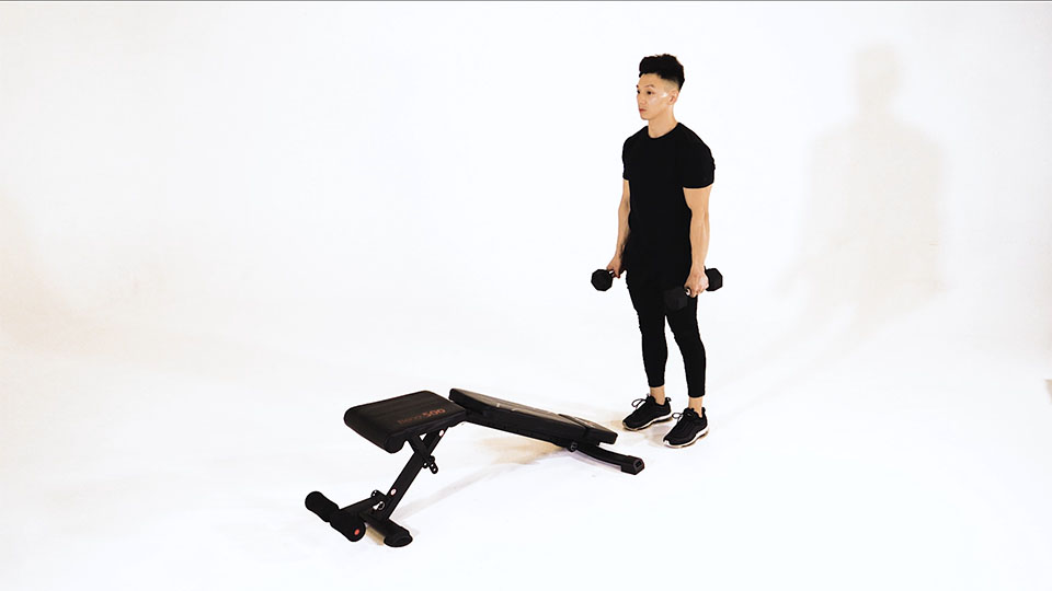 Dumbbell Decline Bench Lunge