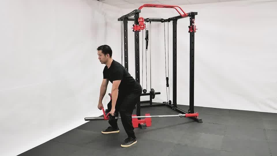 Machine Reverse T Bar Row