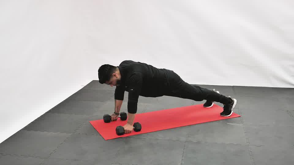 Dumbbell Renegade Row