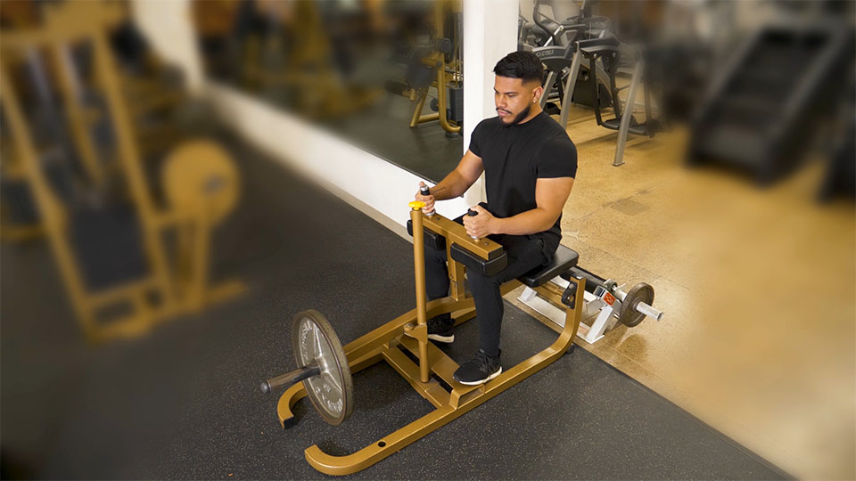 Machine Seated Calf Raise exercise