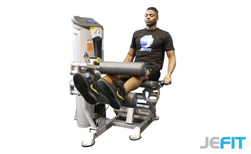 Machine Seated Leg Curl exercise